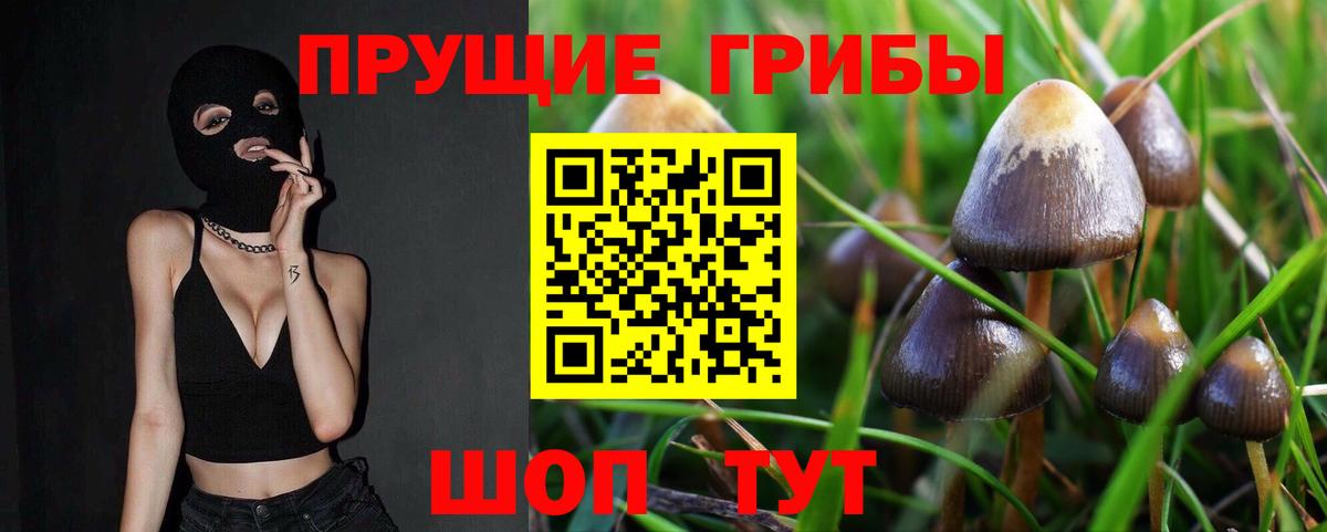магазин продажи   Галлюциногенные грибы Psilocybine cubensis  Вход с VPN  Обнинск  Галлюциногенные грибы ЛСД 